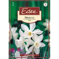 Nasiona i cebule - Narcyz botaniczny Thalia 7 sztuk Eden - miniaturka - grafika 1