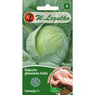 Nasiona i cebule - Kapusta głowiasta biała Fantazja F1 nasiona otoczkowane 100szt. W. Legutko - miniaturka - grafika 1