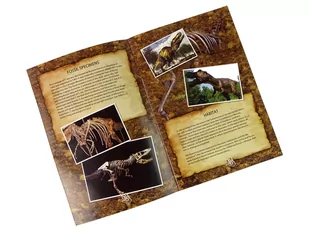 Zestaw Edukacyjny Wykopaliska Dinozaur Tyranozaur - Figurki dla dzieci - miniaturka - grafika 2
