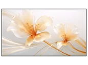 Akcesoria do projektorów - XGIMI Ekran 100" UST ALR - miniaturka - grafika 1