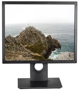 Dell P1917S 19,5" czarny (210-AJBG) - Monitory - miniaturka - grafika 1