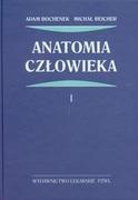 Książki medyczne - Wydawnictwo Lekarskie PZWL Anatomia człowieka Tom 1 - Adam Bochenek, Michał Reicher - miniaturka - grafika 1