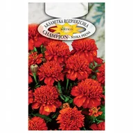 Nasiona i cebule - AKSAMITKA CHAMPION CZERWONA PIĘKNY KWIAT NASIONA - miniaturka - grafika 1