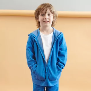 Swetry dla chłopców - Sinsay - Bluza basic - Niebieski - grafika 1