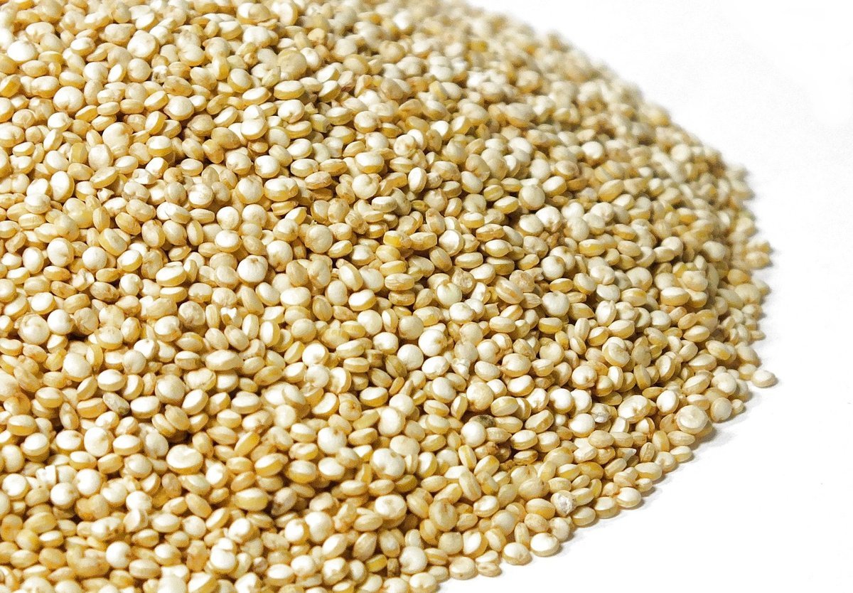 Komosa ryżowa ziarno 100g od Skworcu