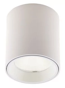 Maxlight Tub C0155 plafon tuba lampa sufitowa oprawa spot 1x7W LED biały/bez pierścienia dekoracyjnego - Lampy sufitowe - miniaturka - grafika 1