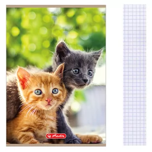 Herlitz Zeszyt A5 Animals mix kratka 16 kartek - Zeszyty szkolne - miniaturka - grafika 1