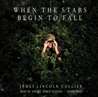 Audiobooki obcojęzyczne - When the Stars Begin to Fall - miniaturka - grafika 1