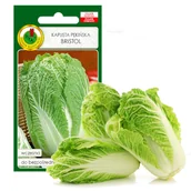 Nasiona i cebule - KAPUSTA PEKIŃSKA BRISTOL WCZESNA NASIONA BEZ GMO - miniaturka - grafika 1