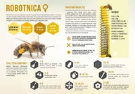 Akcesoria BHP - Średnia tablica edukacyjna ROBOTNICA - wzór F247 - miniaturka - grafika 1