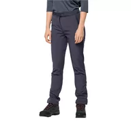 Spodnie sportowe damskie - Damskie spodnie softshellowe Jack Wolfskin STOLLBERG PANTS W dolphin - 34 - miniaturka - grafika 1