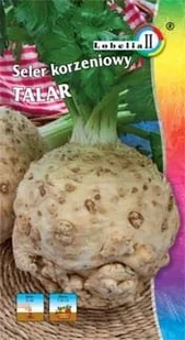 Seler korzeniowy Talar 1g / L / - Nasiona i cebule - miniaturka - grafika 1