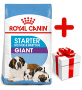 Sucha karma dla psów - ROYAL CANIN Giant Starter Mother&Babydog 15kg  + niespodzianka dla psa GRATIS! - miniaturka - grafika 1