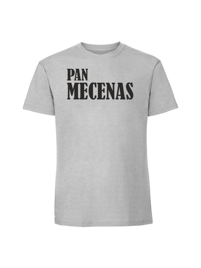 Męska koszulka z nadrukiem - Pan mecenas napis Pastelowy szary L