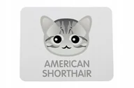 Podkładki pod mysz - Podkładka pod mysz kot amerykański krótkowłosy - miniaturka - grafika 1