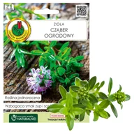 Nasiona i cebule - Nasiona cząber - miniaturka - grafika 1