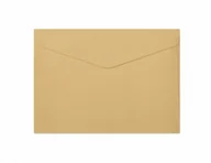 Koperty - Galeria Papieru Koperty C5 złote Pearl 150g (10) - miniaturka - grafika 1