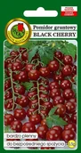 Nasiona i cebule - Pomidor Gruntowy Black Cherry 0.5 g PNOS - miniaturka - grafika 1