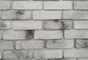 Kamień dekoracyjny Cegła z fugą, szary 0.43m2 - Gipsy i gładzie gipsowe - miniaturka - grafika 1