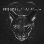 Muzyka klubowa, dance - Caracal Disclosure - miniaturka - grafika 1