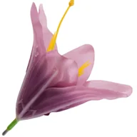 Zabawki kreatywne - [w26583] Główka kwiatowa lilia 11cm wrzosowa - miniaturka - grafika 1