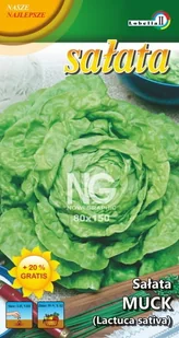 Sałata masłowa Muck 1g / L / - Nasiona i cebule - miniaturka - grafika 1