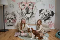 Tapety - Doggies Pink Tapeta dziecięca z Pieskami - miniaturka - grafika 1