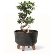 Donice - Donica okrągła 24 cm antracyt misa nóżki wkład - miniaturka - grafika 1