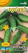 Nasiona i cebule - Ogórek konserwowy Polan 2g / L / - miniaturka - grafika 1