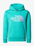Bluzy sportowe męskie - Bluza chłopięca The North Face Drew Peak P/O Hoodie - geyser aqua - miniaturka - grafika 1