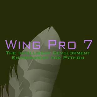 Wing Pro 7 (1 urządzenie / Lifetime) (Steam) - Gry PC Cyfrowe - miniaturka - grafika 1