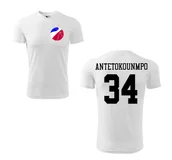 Koszulki sportowe męskie - Treningowa Koszulka GIANNIS ANTETOKOUNMPO 34 - miniaturka - grafika 1