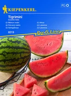 Nasiona i cebule - Arbuz Tigrimini 8219 (ST) - miniaturka - grafika 1
