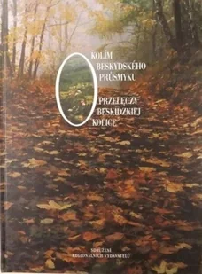 Okolice beskidzkiej przełęczy - Przewodniki - miniaturka - grafika 1