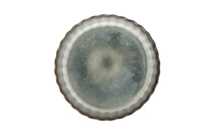 Forma do tarty 26 cm Ombres Turquoise - Formy do ciast - miniaturka - grafika 1