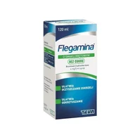 Przeziębienie i grypa - TEVA FLEGAMINA SMAK MIĘTOWY BEZ CUKRU 4mg/5ml 120 ml - miniaturka - grafika 1