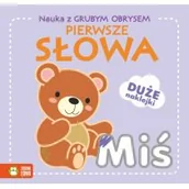 Edukacja przedszkolna - Zielona Sowa Nauka z grubym obrysem. Pierwsze słowa praca zbiorowa - miniaturka - grafika 1