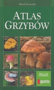 Atlas grzybów - Nauki przyrodnicze - miniaturka - grafika 1