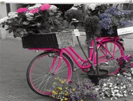 Koperty - Panta Plast Koperta z nadrukiem zip A4 PP Bike - miniaturka - grafika 1
