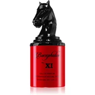 Wody i perfumy męskie - Armaf Bucephalus XI woda perfumowana 100ml - miniaturka - grafika 1