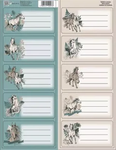 Naklejki na zeszyty Nice&Pretty - Beniamin - Szkolne artykuły papiernicze - miniaturka - grafika 1
