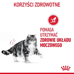 ROYAL CANIN  Urinary Care 2kg + niespodzianka dla kota GRATIS! - Sucha karma dla kotów - miniaturka - grafika 9