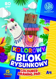 Blok Rysunkowy Kolorowy A4 15 Arkuszy 80g ASTRAPAP - Szkolne artykuły papiernicze - miniaturka - grafika 1