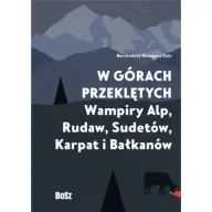 Horror, fantastyka grozy - W górach przeklętych - Bartłomiej Grzegorz Sala - książka - miniaturka - grafika 1