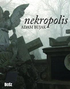 Nekropolis - Albumy - architektura - miniaturka - grafika 1