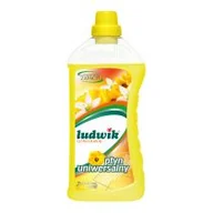 Środki do podłóg i mebli - Inco-Varitas Płyn uniwersalny Ludwik letni ogród 1 l - miniaturka - grafika 1