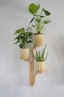 Kwietniki - Kwietnik wiszący Querce - miniaturka - grafika 1