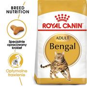 Mokra karma dla kotów - Royal Canin bytówka ROYAL CANIN Bengal 2kg + Pojemnik na karmę Curver 10l 4kg 236590 - miniaturka - grafika 1