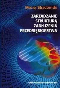 Zarządzanie Strukturą Zadłużenia Przedsiębiorstwa - Zarządzanie - miniaturka - grafika 1