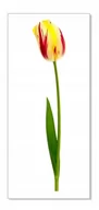 Naklejki na ścianę - Naklejka ścienna kwiaty kwiatki 30cm Tulipan 18, 30x6 cm - miniaturka - grafika 1